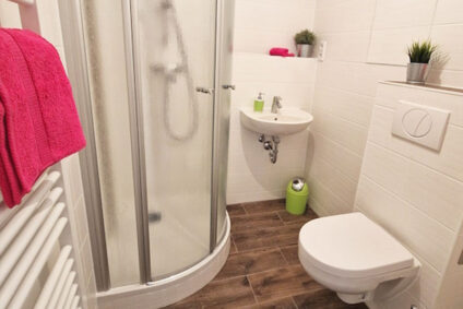 frisch renoviertes Badezimmer mit Dusche