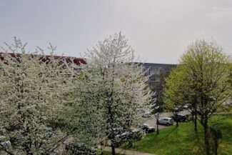 Ausblick vorn zur Straße