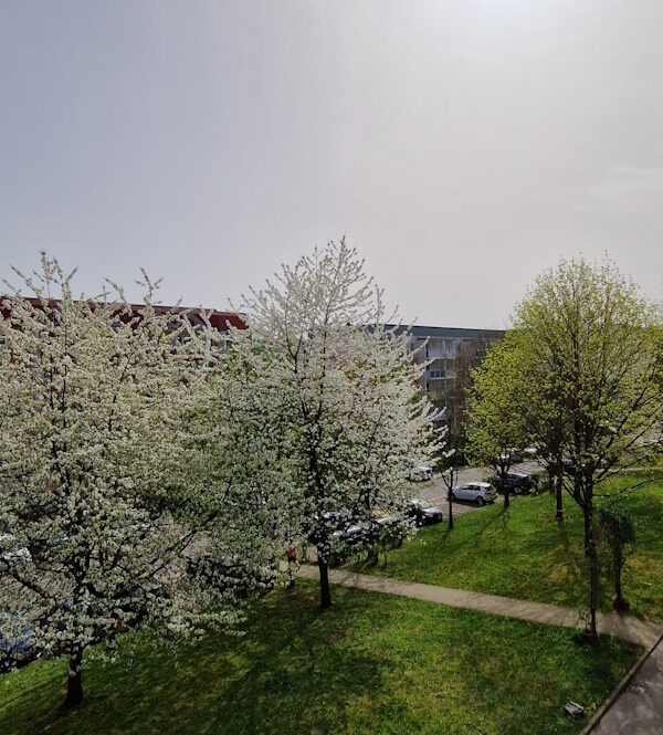 Ausblick vorn zur Straße